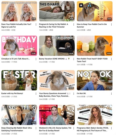 YouTube網(wǎng)紅推薦:10.6萬粉絲的美國寵物與生活方式類博主頻道內(nèi)容