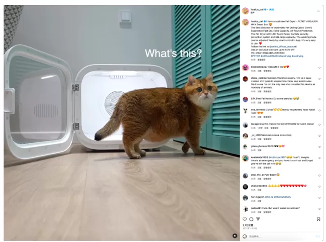 海外營銷案例解析：穩(wěn)住“毛孩子”，抓住錢袋子！