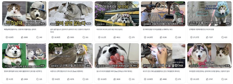 YouTube網(wǎng)紅營銷 ：韓國寵物類網(wǎng)紅KOL推薦頻道內(nèi)容