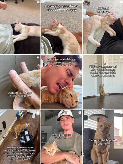 美國高互動(dòng)率的寵物用品推廣達(dá)人頻道內(nèi)容