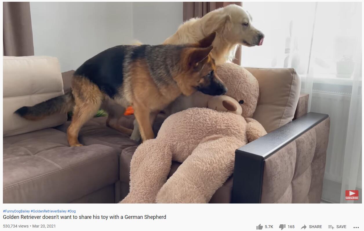 YouTube紅人數(shù)據(jù)