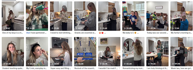 tiktok平臺20萬粉絲美國家電紅人推薦頻道內(nèi)容