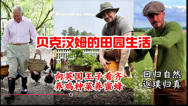 國產(chǎn)品牌"7日銷量破萬"，全球家居園藝市場還暗藏什么機遇？