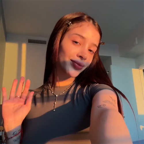 TikTok網(wǎng)紅：美國個護(hù)美妝日常類頭部博主